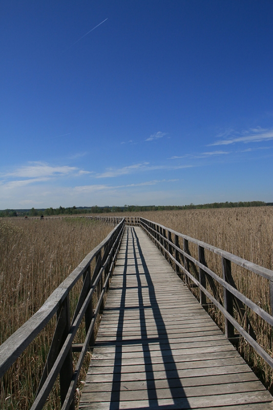 Federsee Bad Buchau Adelindis Therme