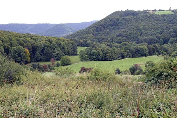 Ruine Reussenstein_91