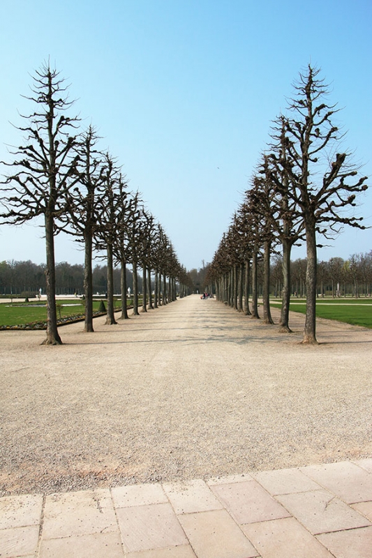 Schlossgarten Schwetzingen_17