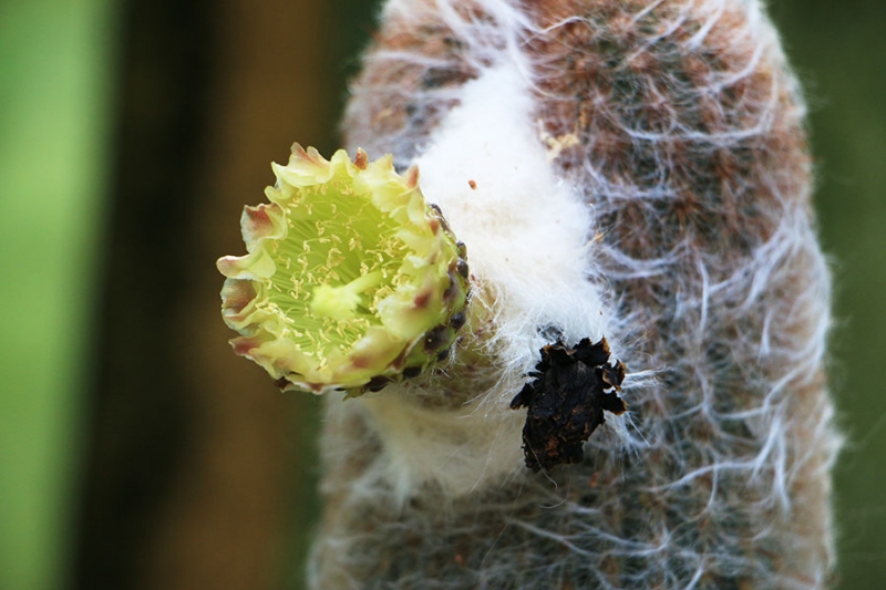 Botanischer Garten Tübingen