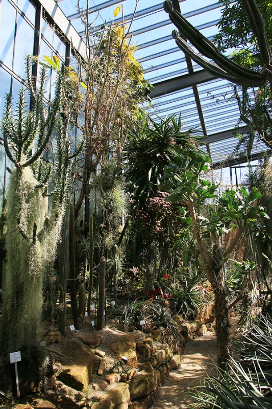 Botanischer Garten Tübingen