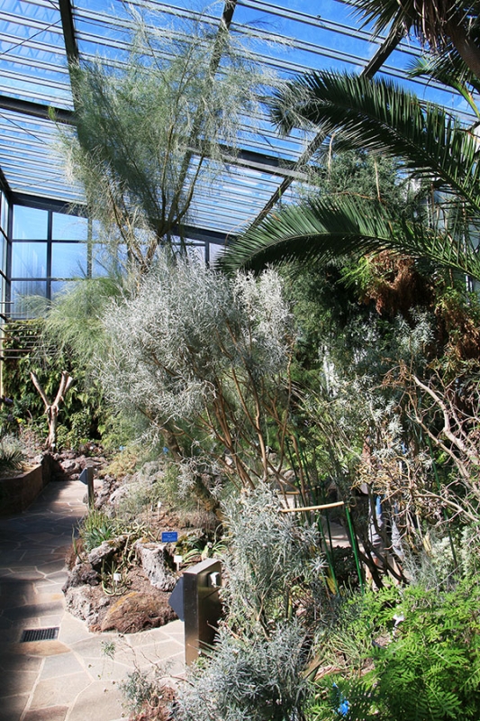 Botanischer Garten Tübingen