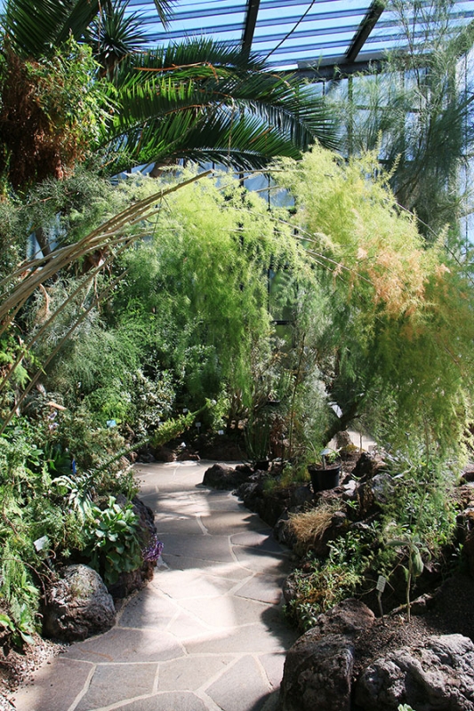 Botanischer Garten Tübingen