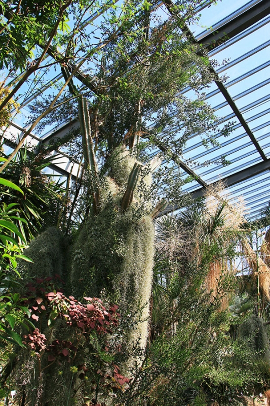 Botanischer Garten Tübingen