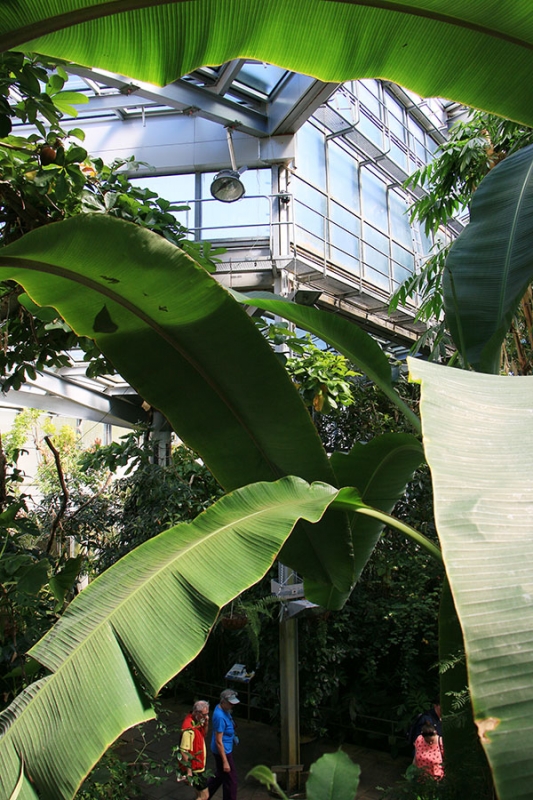 Botanischer Garten Tübingen