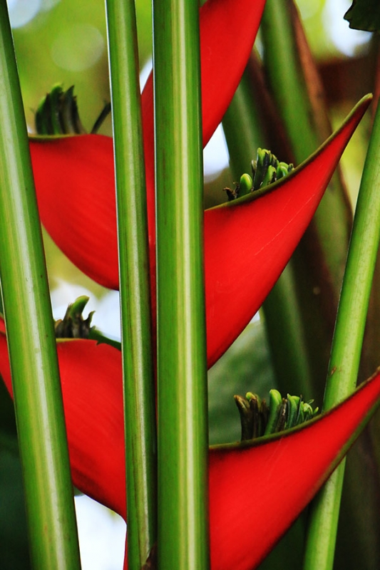 Botanischer Garten Tübingen