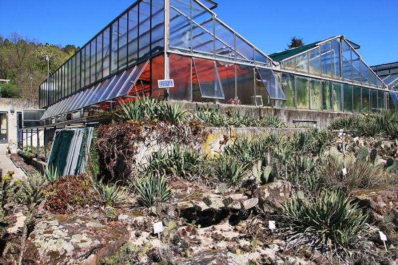 Botanischer Garten Tübingen