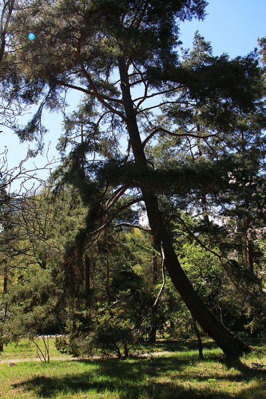 Botanischer Garten Tübingen