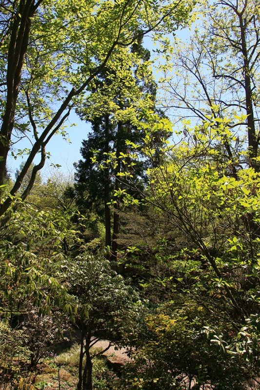 Botanischer Garten Tübingen