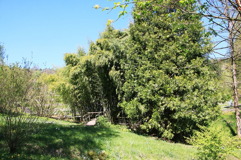 Botanischer Garten Tübingen