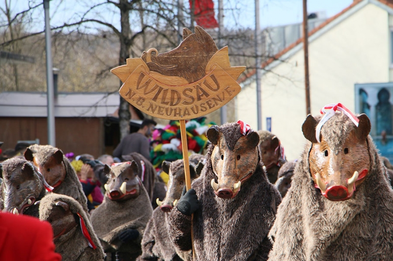 Faschingsumzug in Wernau