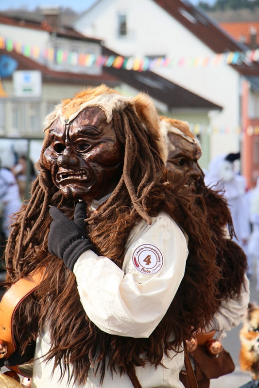 Faschingsumzug in Wernau