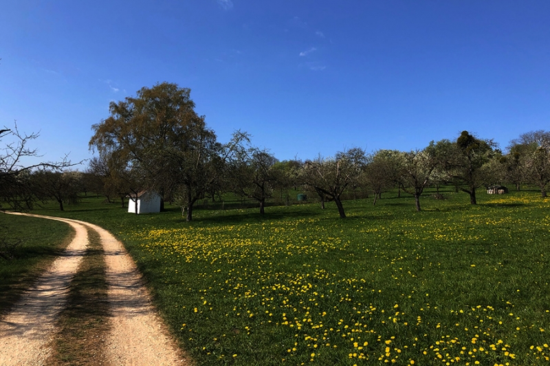 Der Frühling ist da..._2