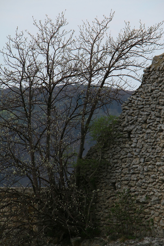 Der Frühling ist da..._20