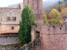 Heidelberger Schloss