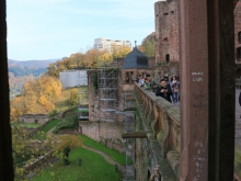 Schloss Heidelberg