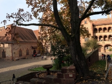 Schloss Heidelberg