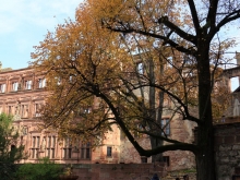 Schloss Heidelberg