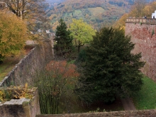 Schloss Heidelberg