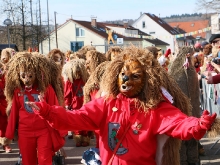 Wernauer Narren Umzug 2017