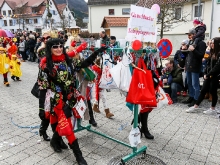 Gosbach Großer Faschings Umzug