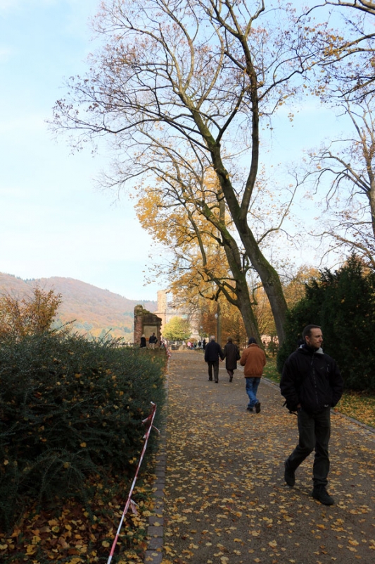 Heidelberger Schloss