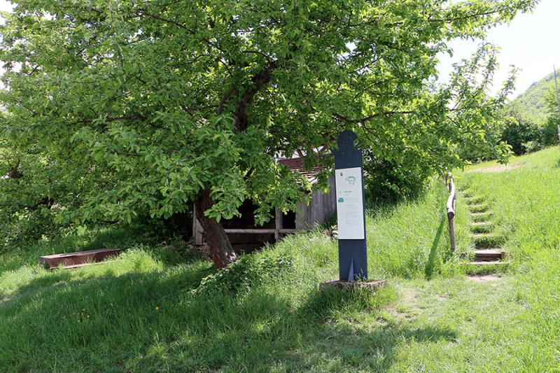 Freilichtmuseum Beuren