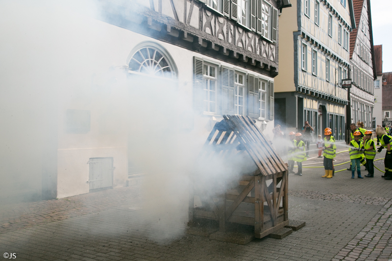 Museeumfest und Naberner Lösch Löwen von J.Stortz