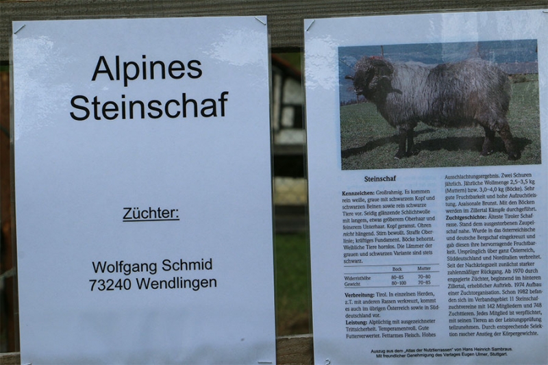 Schäfertage mit Schäfermarkt Freilichtmuseum Beuren