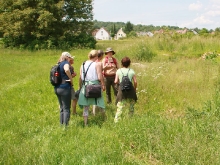 Wildkräuterspaziergänge mit der Kräuterpädagogin Simone Kerner.
