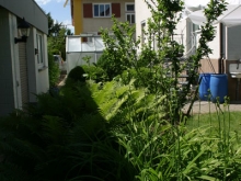 Offene Gartentüren im Klosterviertel 2013 