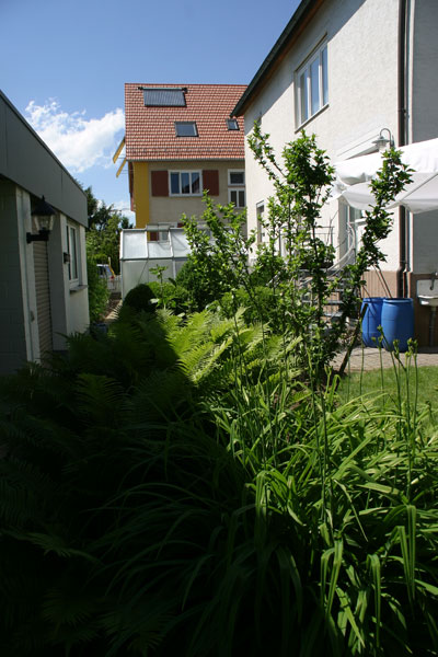 Offene Gartentüren im Klosterviertel 2013._34