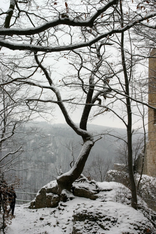 Burgruine Reussenstein im Winter._6
