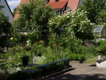 Offene Gartentüren im Klosterviertel 2013._13