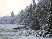 Schnee auf der schwäbischen Alb