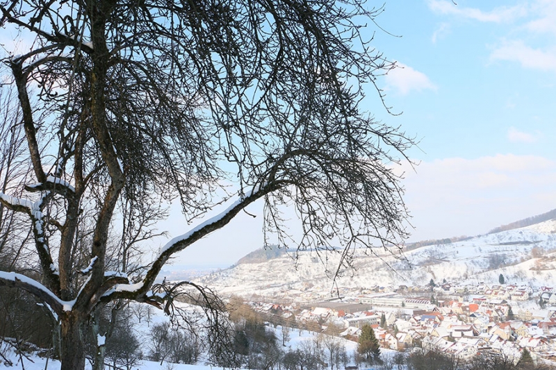 Reussenstein Pokal 2015