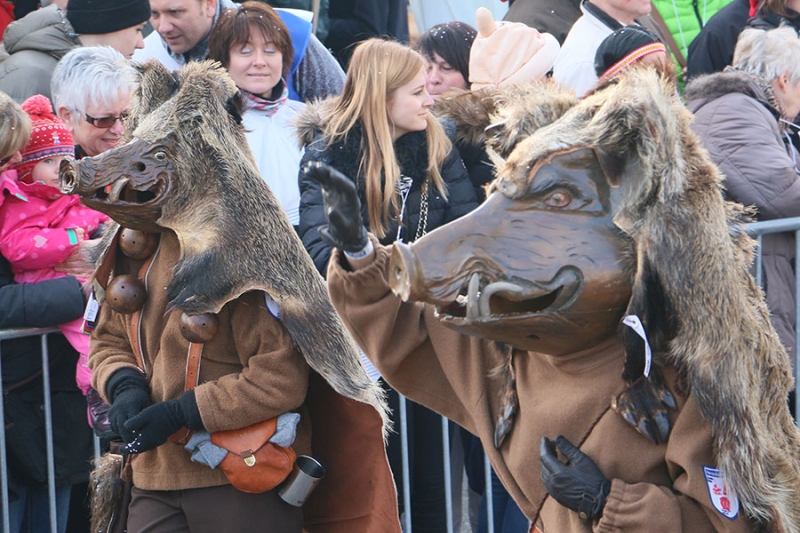 Wernauer Narren Umzug 2015