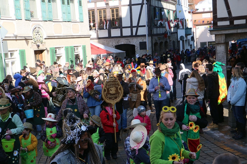 Rosenmontagsumzug in Wiesensteig