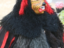 Rosenmontagsumzug in Wiesensteig