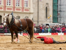 13. Gmünder Pferdetag