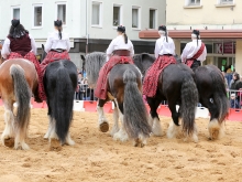 13. Gmünder Pferdetag