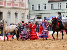 13. Gmünder Pferdetag