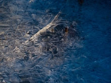 Verwunschene Eiswelt an den Bürgersee