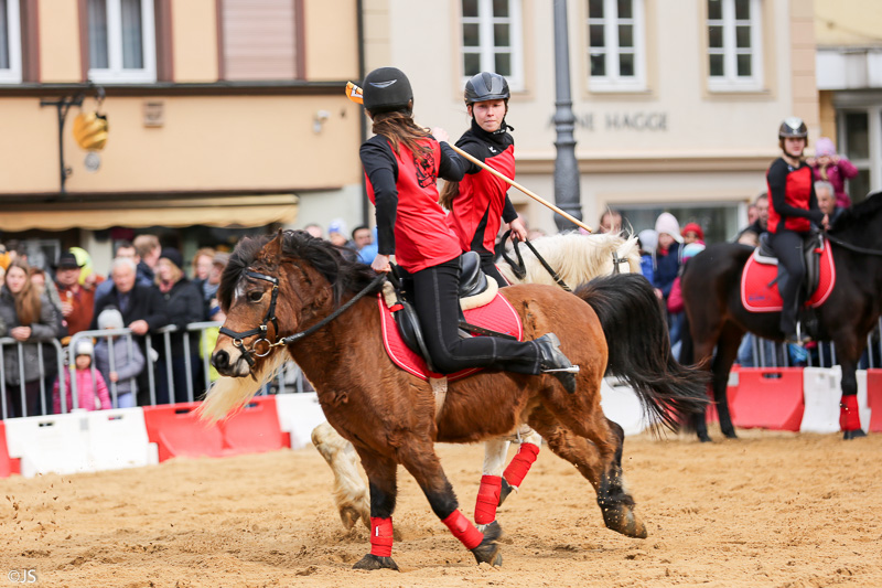 13. Gmünder Pferdetag