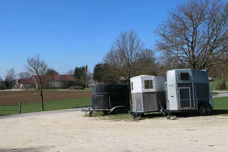 Ferienhof Ponyreiten Schepper