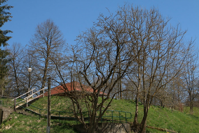 Haupt- und Landgestüt Marbach