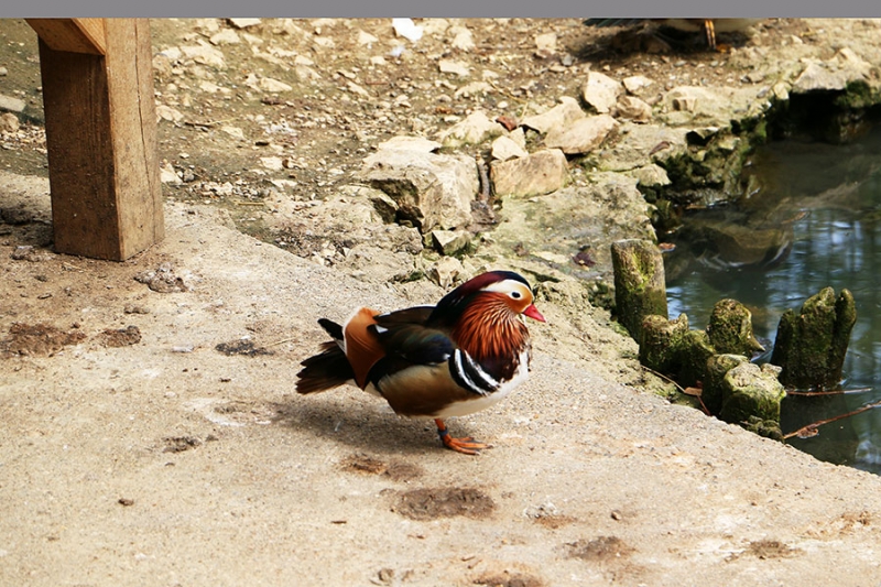 Tierpark Göppingen