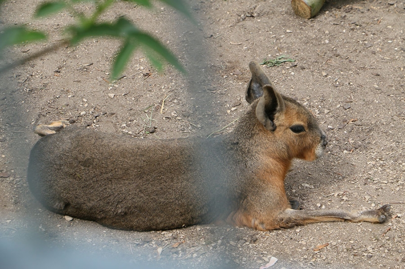 Tierpark Göppingen