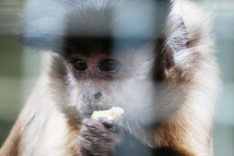 Tierpark Göppingen