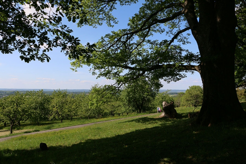 Grillplatz Weilheim Reutenberg